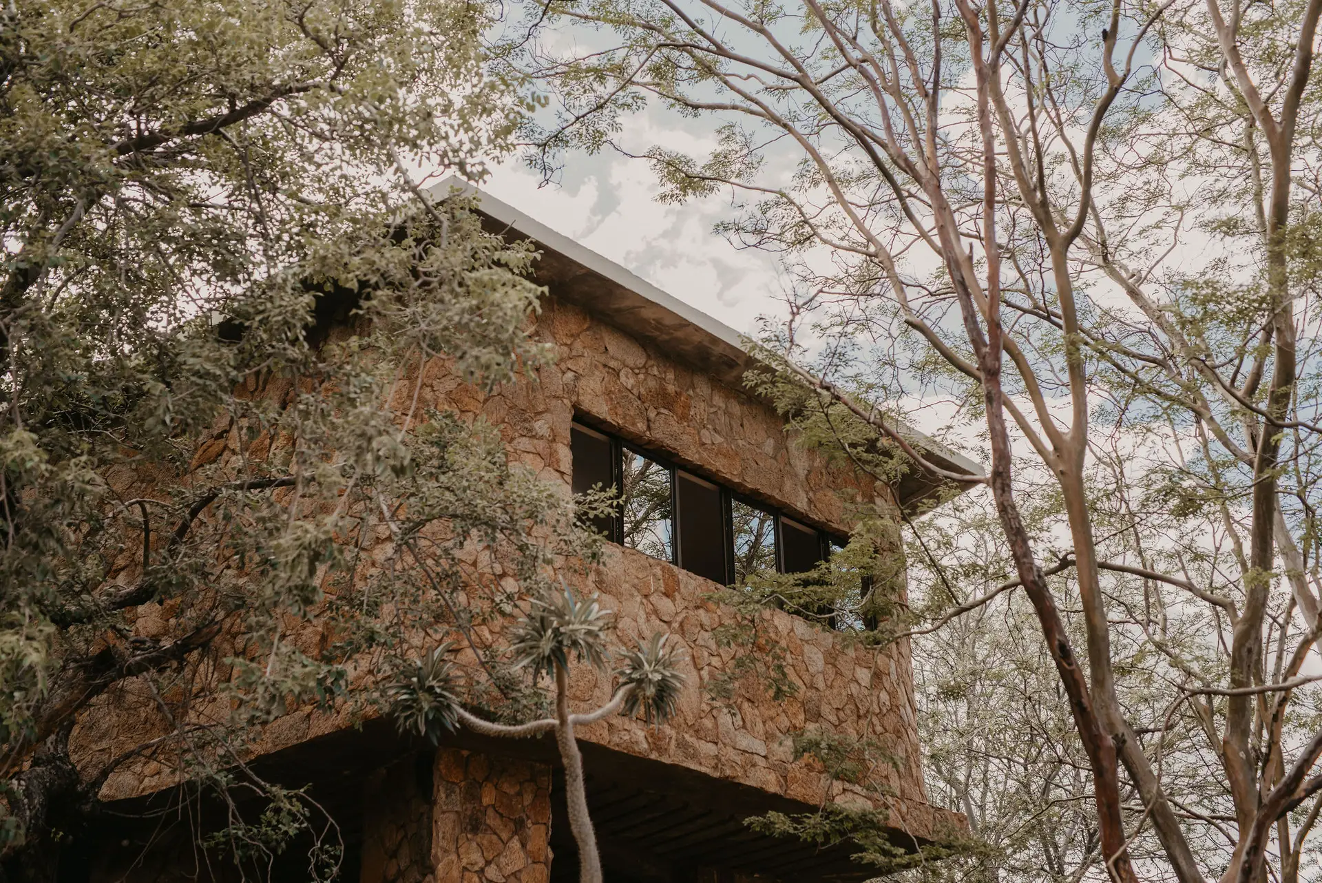 conference room in limpopo