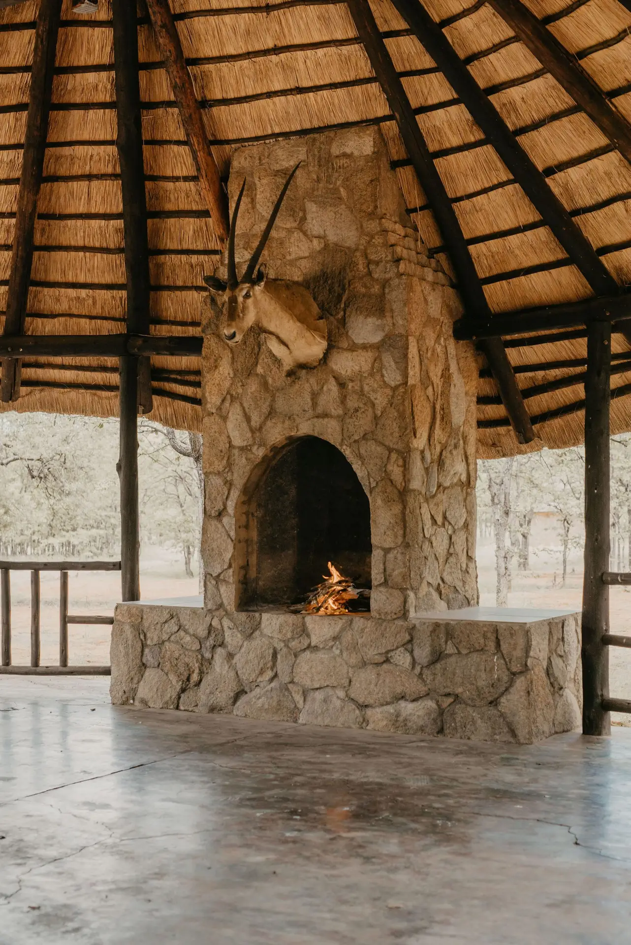 camp area, fireplace